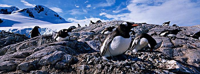 索尼计划推出PlayStation 6游戏主机：只考虑AMD方案