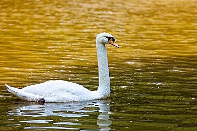 《战地6》所有兵种使用武器不再有限制 DICE给出解释